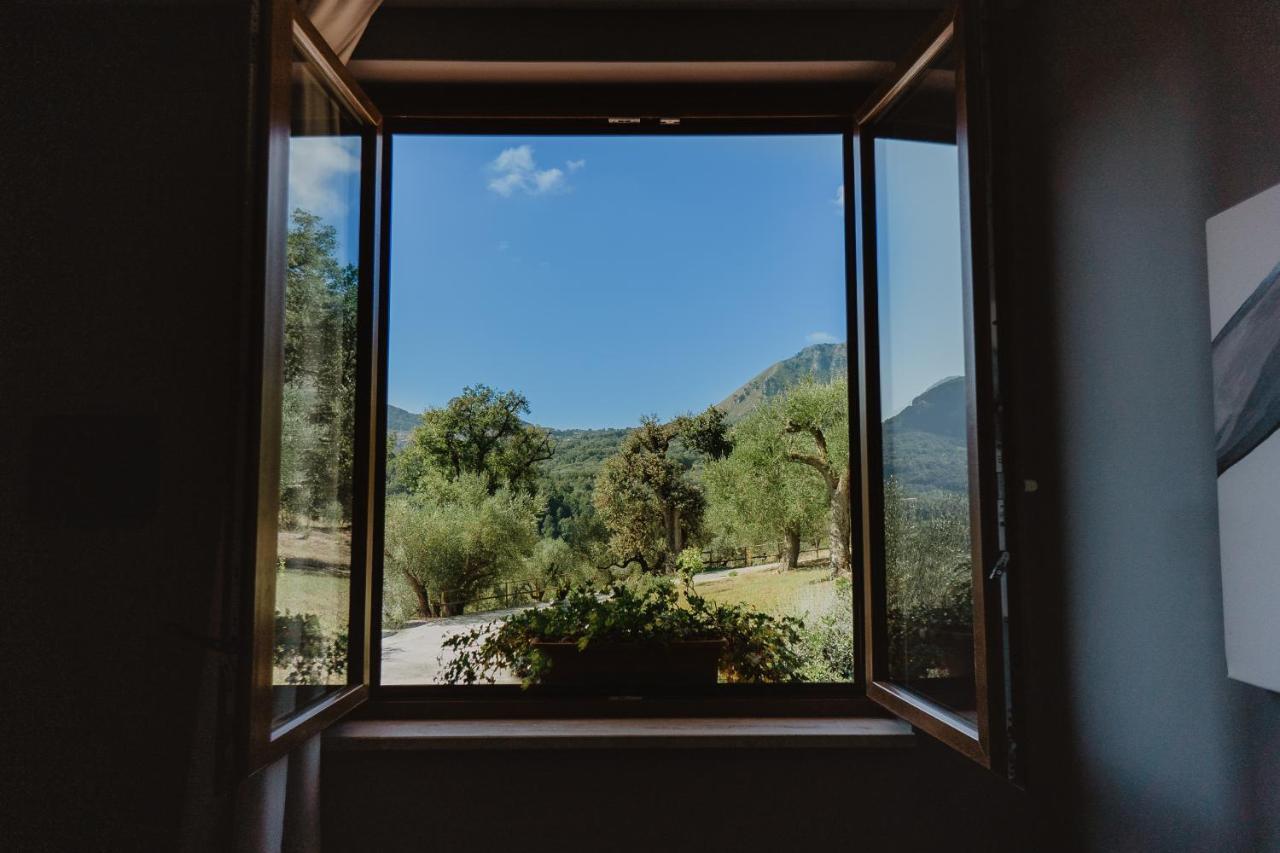 סן ג'יובאני א פירו Tenuta Terre Di Bosco Oasi Di Relax Nel Cilento מראה חיצוני תמונה