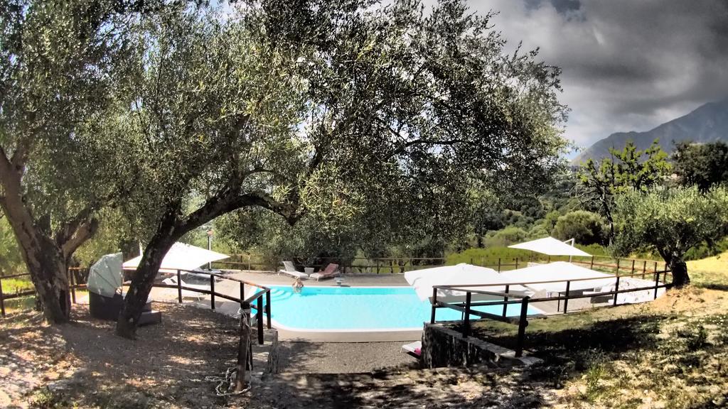 סן ג'יובאני א פירו Tenuta Terre Di Bosco Oasi Di Relax Nel Cilento מראה חיצוני תמונה